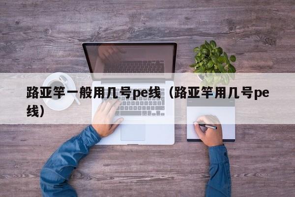 路亚竿一般用几号pe线（路亚竿用几号pe线） 