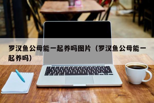 罗汉鱼公母能一起养吗图片（罗汉鱼公母能一起养吗） 