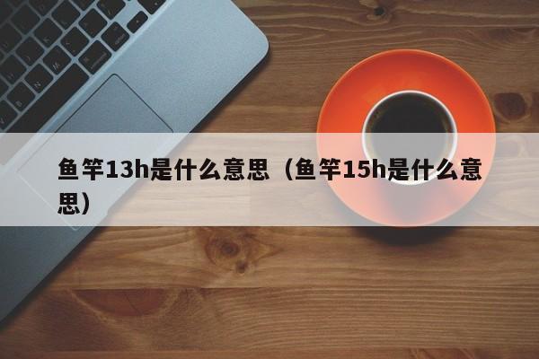 鱼竿13h是什么意思（鱼竿15h是什么意思） 