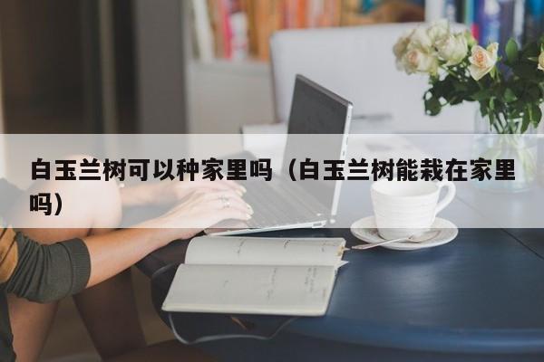 白玉兰树可以种家里吗（白玉兰树能栽在家里吗） 