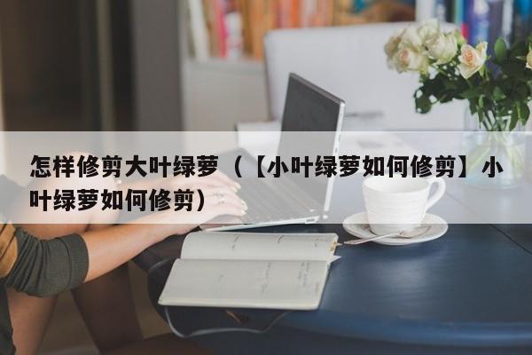 怎样修剪大叶绿萝（【小叶绿萝如何修剪】小叶绿萝如何修剪） 