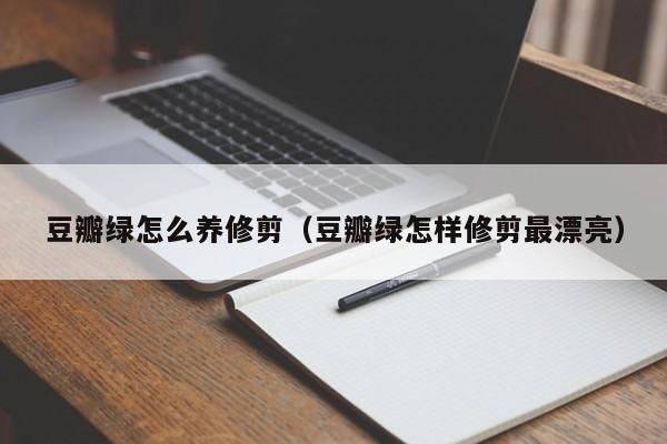 豆瓣绿怎么养修剪（豆瓣绿怎样修剪最漂亮） 