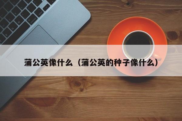 蒲公英像什么（蒲公英的种子像什么） 