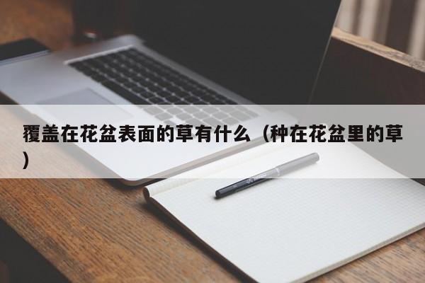 覆盖在花盆表面的草有什么（种在花盆里的草） 