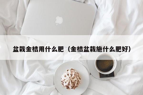 盆栽金桔用什么肥（金桔盆栽施什么肥好） 