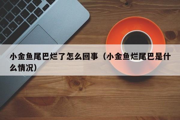 小金鱼尾巴烂了怎么回事（小金鱼烂尾巴是什么情况） 