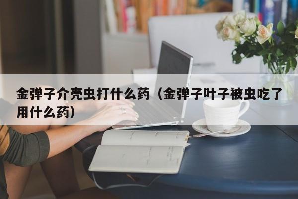 金弹子介壳虫打什么药（金弹子叶子被虫吃了用什么药） 