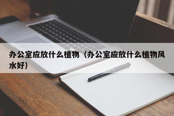 办公室应放什么植物（办公室应放什么植物风水好） 