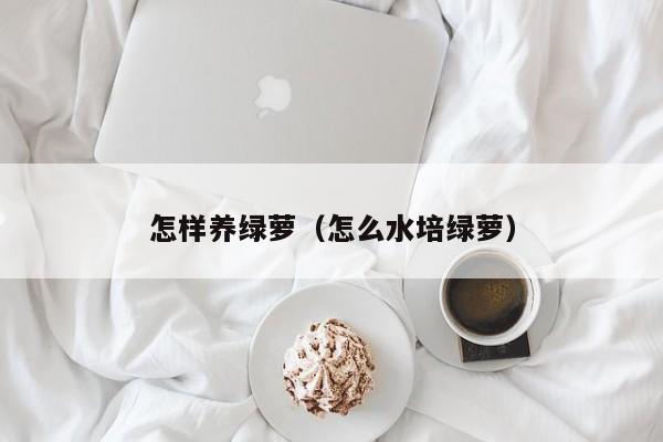 怎样养绿萝（怎么水培绿萝） 