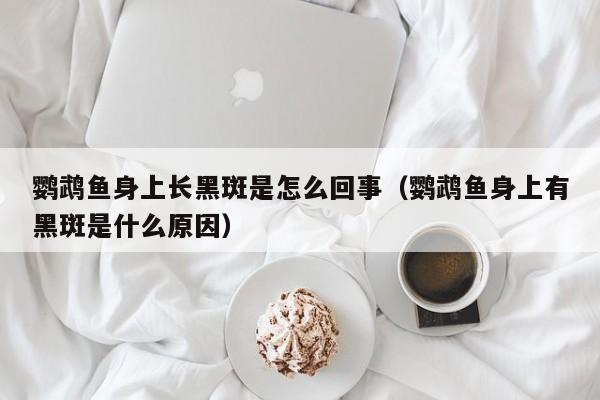 鹦鹉鱼身上长黑斑是怎么回事（鹦鹉鱼身上有黑斑是什么原因） 