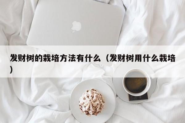 发财树的栽培方法有什么（发财树用什么栽培） 