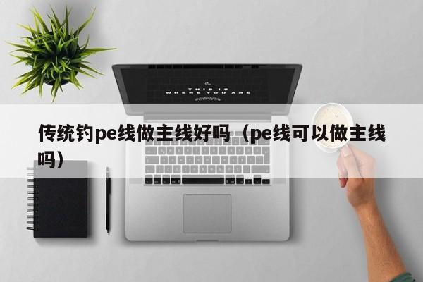 传统钓pe线做主线好吗（pe线可以做主线吗） 