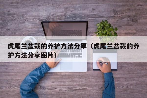 虎尾兰盆栽的养护方法分享（虎尾兰盆栽的养护方法分享图片） 