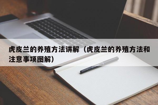 虎皮兰的养殖方法讲解（虎皮兰的养殖方法和注意事项图解） 