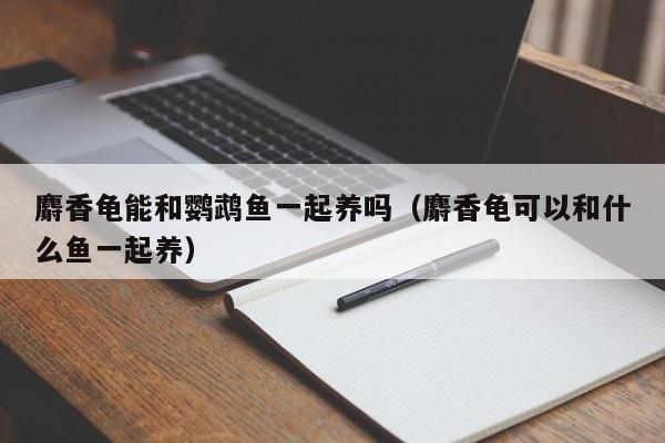 麝香龟能和鹦鹉鱼一起养吗（麝香龟可以和什么鱼一起养） 