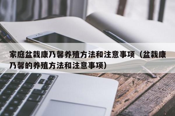 家庭盆栽康乃馨养殖方法和注意事项（盆栽康乃馨的养殖方法和注意事项） 