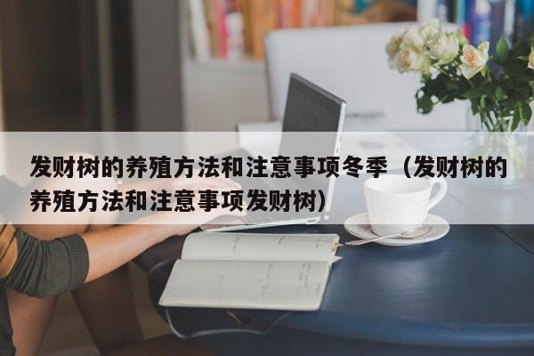 发财树的养殖方法和注意事项冬季（发财树的养殖方法和注意事项发财树） 