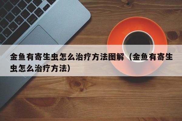 金鱼有寄生虫怎么治疗方法图解（金鱼有寄生虫怎么治疗方法） 