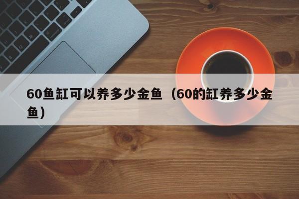 60鱼缸可以养多少金鱼（60的缸养多少金鱼） 