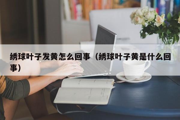 绣球叶子发黄怎么回事（绣球叶子黄是什么回事） 