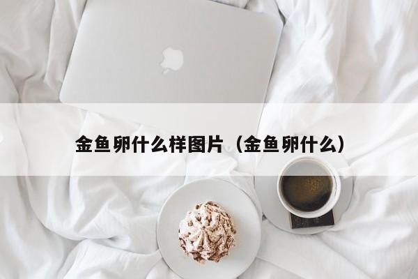 金鱼卵什么样图片（金鱼卵什么） 