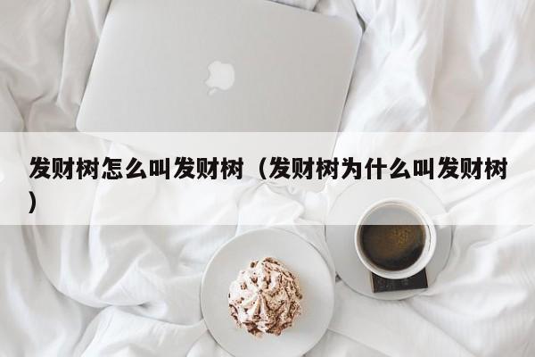 发财树怎么叫发财树（发财树为什么叫发财树） 