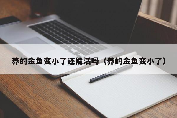 养的金鱼变小了还能活吗（养的金鱼变小了） 