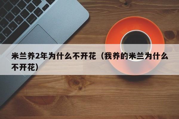 米兰养2年为什么不开花（我养的米兰为什么不开花） 