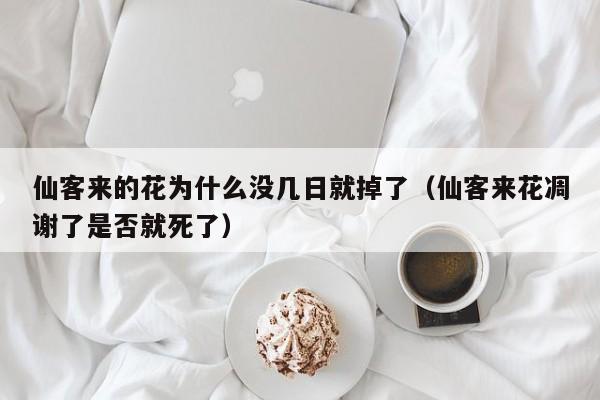 仙客来的花为什么没几日就掉了（仙客来花凋谢了是否就死了） 