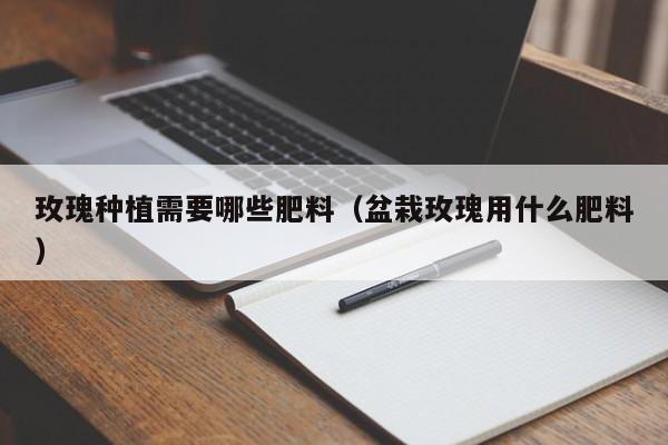 玫瑰种植需要哪些肥料（盆栽玫瑰用什么肥料） 