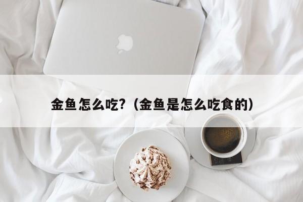 金鱼怎么吃?（金鱼是怎么吃食的） 