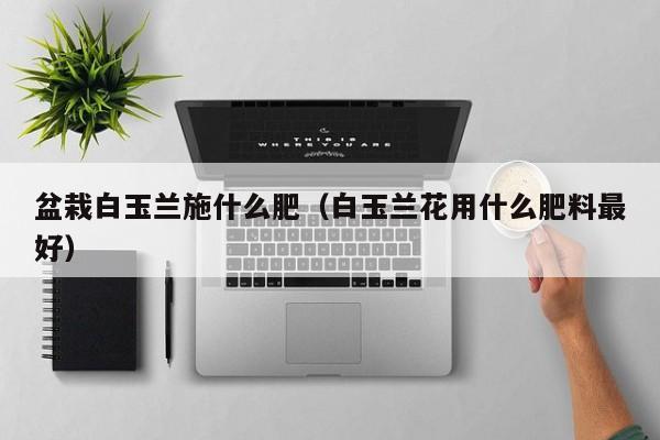 盆栽白玉兰施什么肥（白玉兰花用什么肥料最好） 