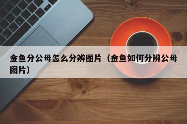 金鱼分公母怎么分辨图片（金鱼如何分辨公母图片） 