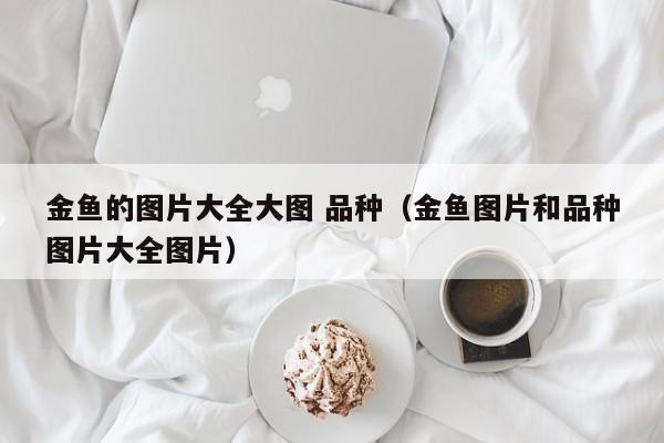 金鱼的图片大全大图 品种（金鱼图片和品种图片大全图片） 