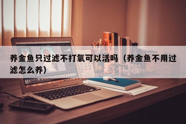 养金鱼只过滤不打氧可以活吗（养金鱼不用过滤怎么养） 