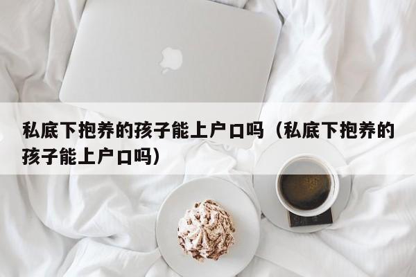 私底下抱养的孩子能上户口吗（私底下抱养的孩子能上户口吗） 