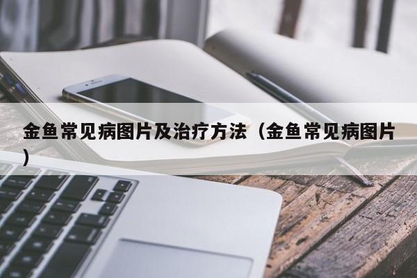 金鱼常见病图片及治疗方法（金鱼常见病图片） 