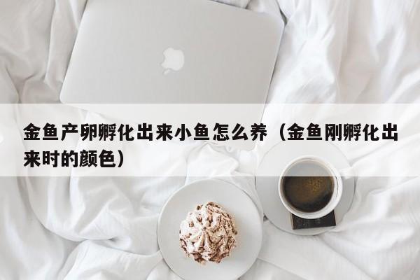 金鱼产卵孵化出来小鱼怎么养（金鱼刚孵化出来时的颜色） 