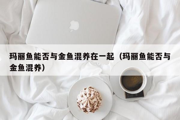 玛丽鱼能否与金鱼混养在一起（玛丽鱼能否与金鱼混养） 