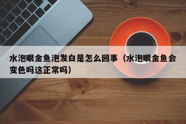 水泡眼金鱼泡发白是怎么回事（水泡眼金鱼会变色吗这正常吗） 