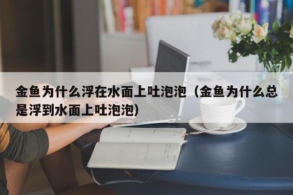 金鱼为什么浮在水面上吐泡泡（金鱼为什么总是浮到水面上吐泡泡） 