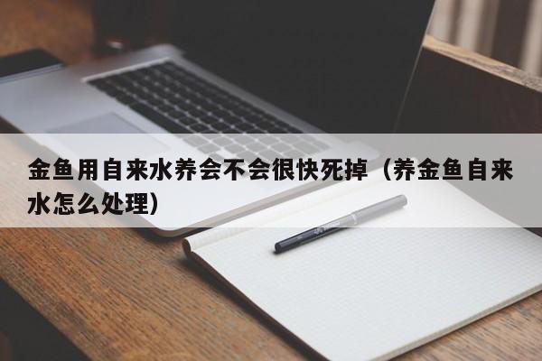 金鱼用自来水养会不会很快死掉（养金鱼自来水怎么处理） 