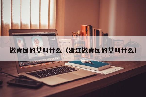 做青团的草叫什么（浙江做青团的草叫什么） 