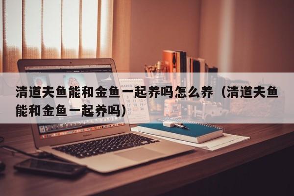 清道夫鱼能和金鱼一起养吗怎么养（清道夫鱼能和金鱼一起养吗） 