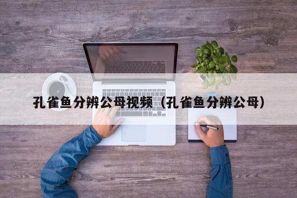 孔雀鱼分辨公母视频（孔雀鱼分辨公母） 