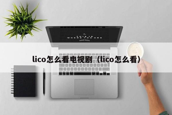 lico怎么看电视剧（lico怎么看） 