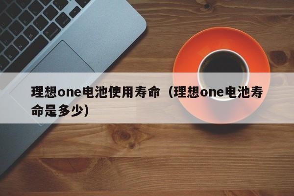 理想one电池使用寿命（理想one电池寿命是多少） 