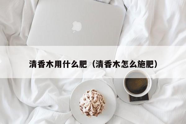 清香木用什么肥（清香木怎么施肥） 