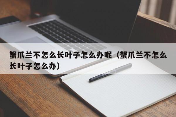 蟹爪兰不怎么长叶子怎么办呢（蟹爪兰不怎么长叶子怎么办） 