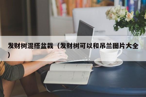 发财树混搭盆栽（发财树可以和吊兰图片大全） 